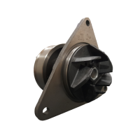 90000303 BOMBA D'ÁGUA SÉRIE C - INDISA!