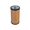 PL519 FILTRO LUBRIFICANTE  MOTOR