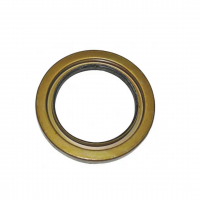 T12501317 RETENTOR CUBO RODA TRASEIRA - SABÓ!